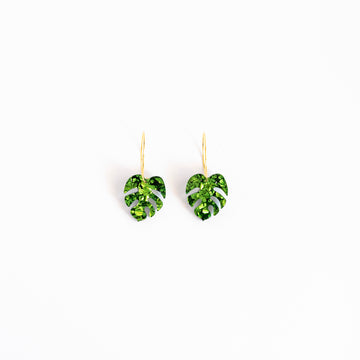 Monstera verde brilli